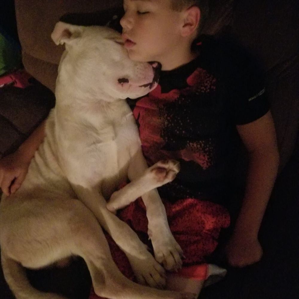 Meet your Posher, Brandon